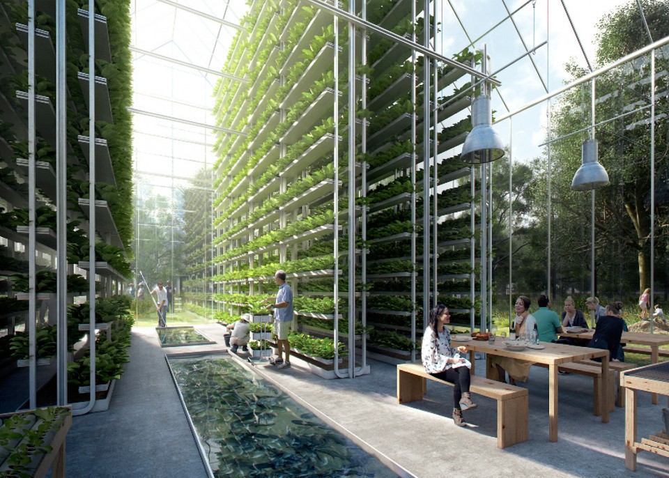 Vertical farming | Urban farming